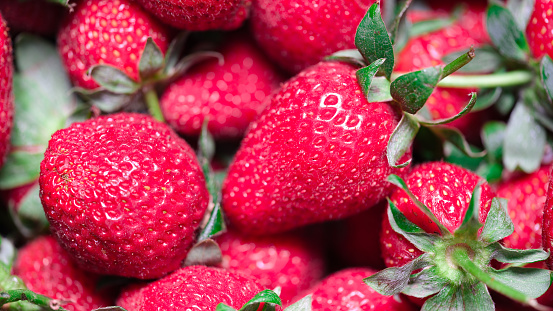 Freshly picked red strawberry macro. Fruit for refreshment or relaxation. Delicious fruits natural healthy food ingredient concept