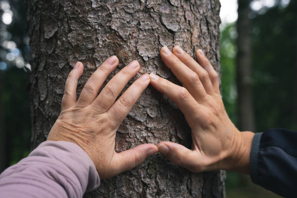istock A female and a male hand form a heart on a tree trunk 1424195044