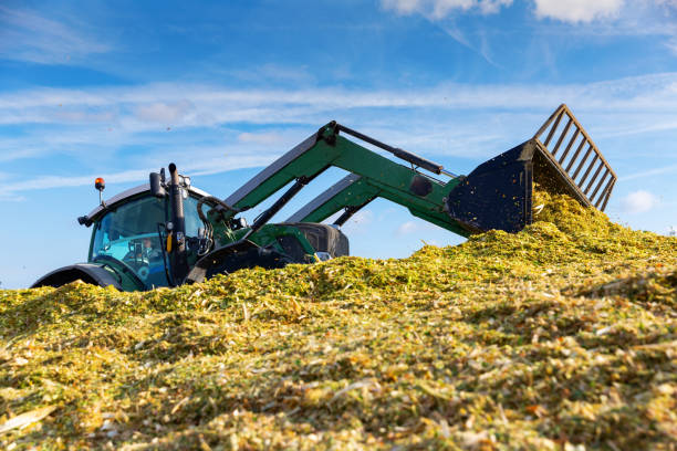 récolte de l’ensilage - provender photos et images de collection