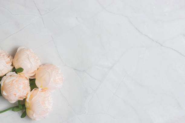 istock Pink roses over the light marble background for copy space. 1424198571