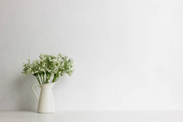 istock White flower over the white wall with natural light. 1424198599