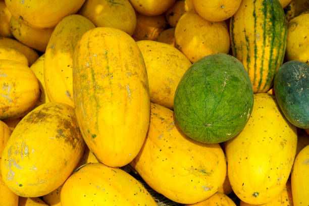 istock Natural background with lots of yellow watermelons 1424200930