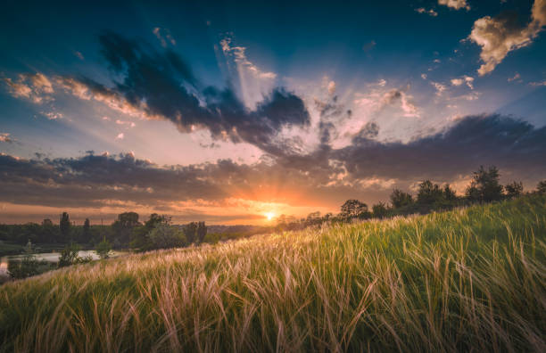 istock Wonderfull sunset in a steppe with pink clouds 1424202913