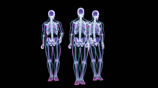istock Three skeletons standing and moving normally isolated on black background, scan, 3d render 1424204147