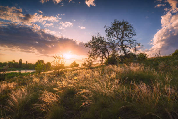 istock Beautiful sunset in a steppe 1424205566