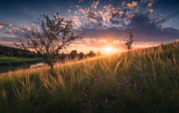 Majestic sunset in a steppe