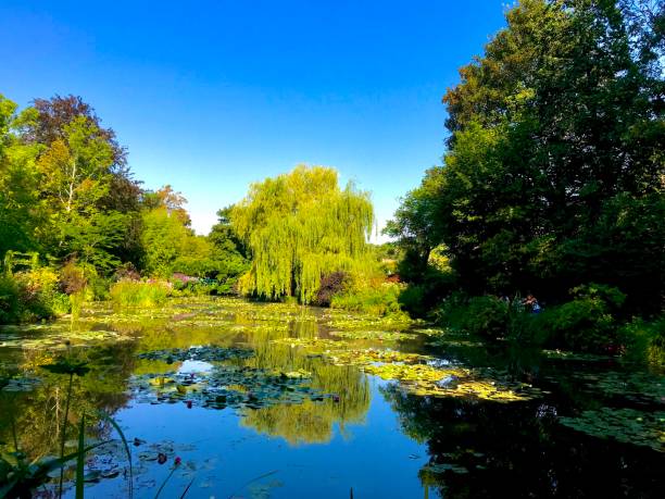 istock Monet's Garden, Water Lilies Pond 1424208100