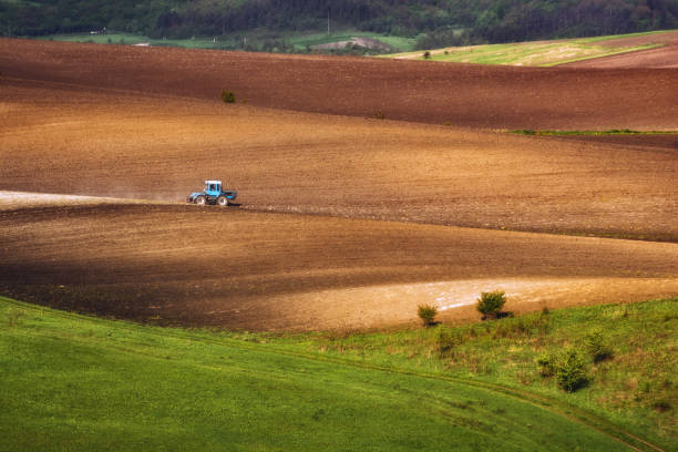 istock Ukrainian agriculture 1424208323