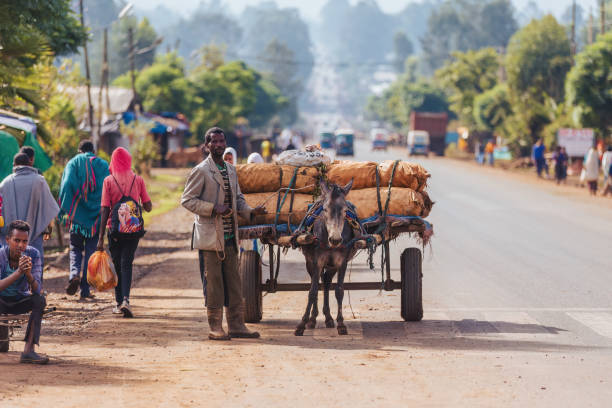 DEMEBECHA, ETHIOPIA, APRIL 20.2019, People walking on the Ethiopian street in the morning, In front is a man with a donkey cart. Demebecha, Ethiopia, April 20. 2019