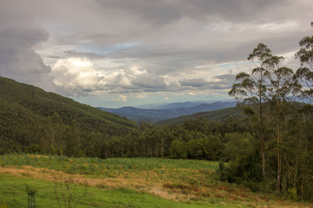 istock cloudy landscape in the mountains 1424212200