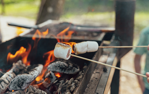 Grilled sweet marshmallow on campfire on a stick. Cooking white marshmallow with chocolate on a background of fire. Picnic outdoor party in the park.