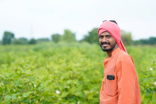 istock young indian farmer at cotton agriculture field. 1424218428