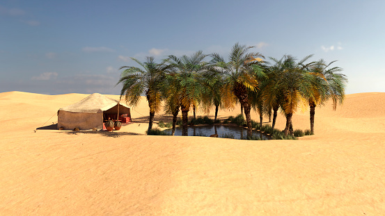 3D rendering of an oasis in a desert