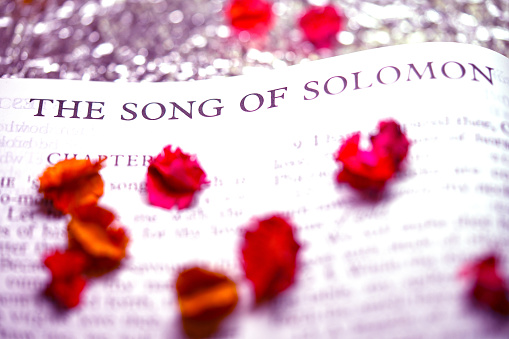 Open holy bible book of The Song of Solomon with light pink background and bokeh for inspiraiton and people