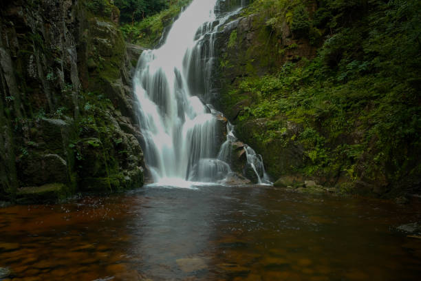 istock waterfall in the forest. mountain water. wildlife . mountain river turning into a waterfall. 1424226399