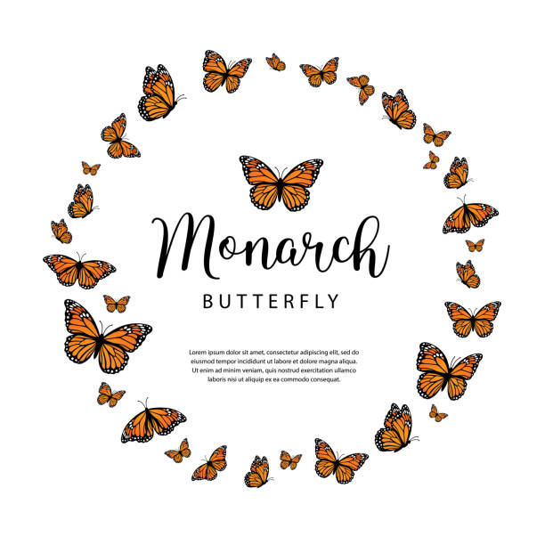 ilustraciones, imágenes clip art, dibujos animados e iconos de stock de mariposas monarca mariposas en forma de círculo. ilustración vectorial aislada sobre fondo blanco - butterfly monarch butterfly isolated flying