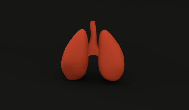 istock human lung organ for breath 3d icon isolated in black background 1424227426
