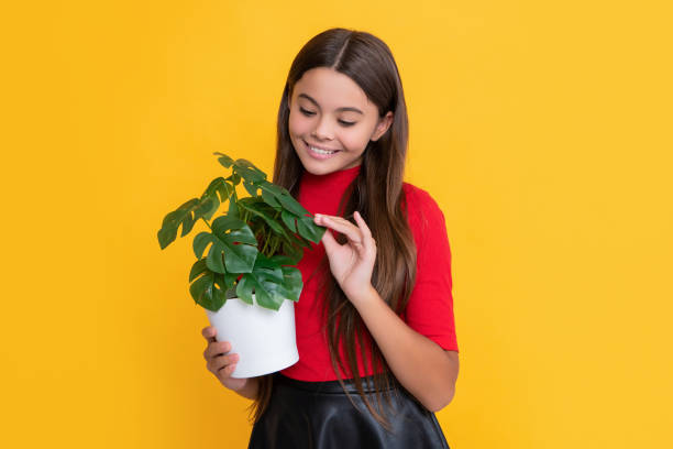 istock glad child with monstera in pot on yellow background 1424238292