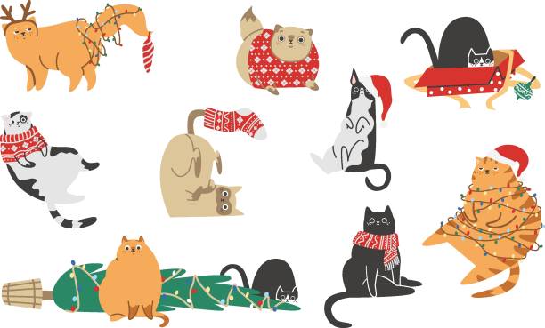 ilustraciones, imágenes clip art, dibujos animados e iconos de stock de imprimir  - pets feline domestic cat horizontal