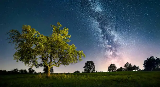 Gorgeous starry night landscape with a lit tree and the Milky Way