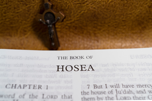 Open book Holy Bible The Book of HOSEA for background and inspiration