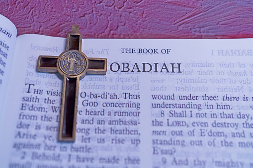 Open book Holy Bible The Book of OBADIAH for background and inspiration