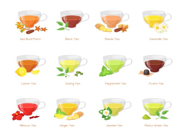 Herbal tea types. Different type green black teas, hot sugar drink in glass cup, flowers jasmin ginger peppermint lemon red hibiscus beverage spice taste, neat vector illustration Herbal tea types. Different type green black teas, hot sugar drink in glass cup, flowers jasmin ginger peppermint lemon red hibiscus beverage spice taste, neat vector illustration. Green herbal tea oolong tea stock illustrations