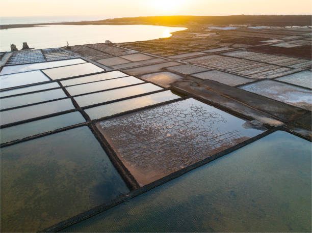 istock traditional salt fields from aerial view 1424248863