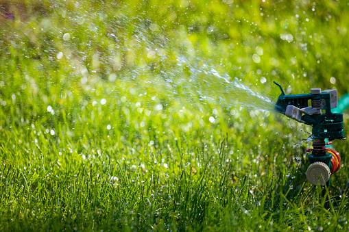 Lawn sprinkler - spraying water over green grass. Floral background. Nature.