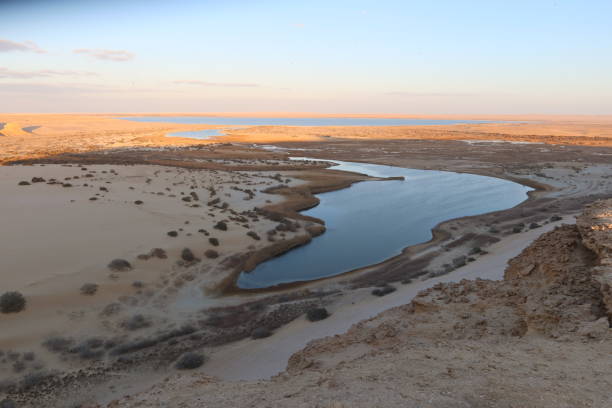 vista de ariel del lago mágico en el desierto de fayoum en egipto - fayoum fotografías e imágenes de stock