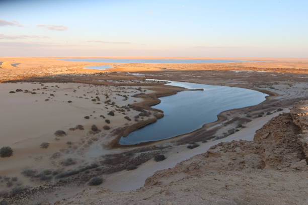 エジプトのファヨウム砂漠の魔法の湖のアリエルの眺め - fayoum ストックフォトと画像