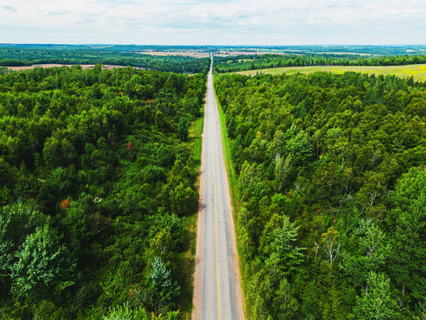 istock Middle of Nowhere Road 1424254238
