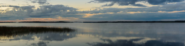 panoramiczny panoramiczny widok na duże jezioro z trzcinami i zalesiony odległy brzeg w mglistej mgiełce pod pochmurnym niebem odbitym w wodzie. poranny zmierzch - waterland zdjęcia i obrazy z banku zdjęć