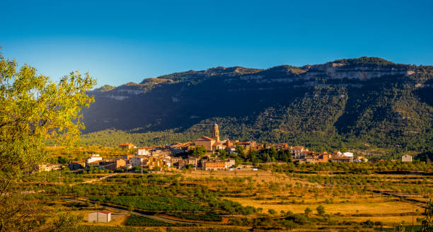 istock panoramic view of Ulldemolins, in Spain 1424255858