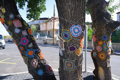 trees decorated with colorful hand knitting
