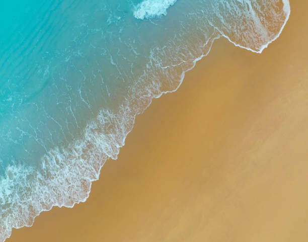istock The ecology system with a wave water energy with a summer tropical background 1424257786
