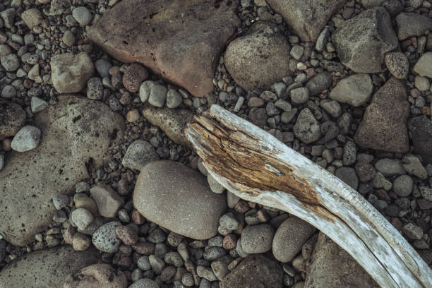 The riverbanks of Southern Alberta have a variety of rocks that litter their banks along with foliage and autumn colours.
