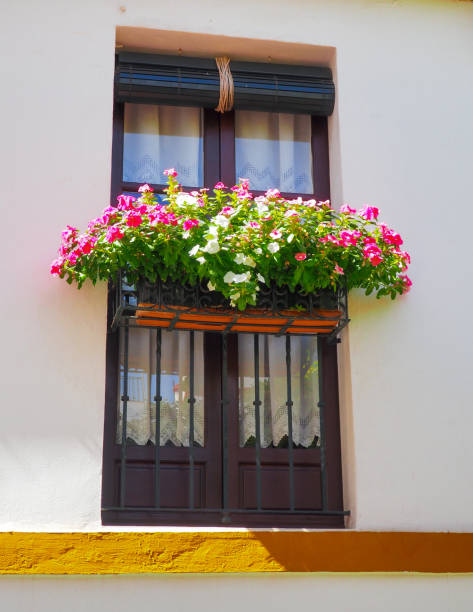istock Typical Andalusian window with balcony and flower box 1424261072