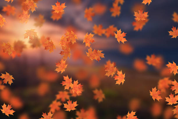 Idyllic beautiful, blurred autumn landscape with fall leaves in sunshine, day outdoors in golden autumn stock photo