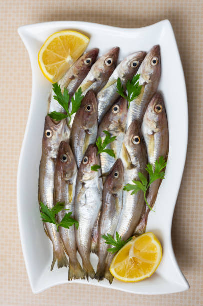 istock Fresh uncooked haddock fishes on in ceramic dish on table, raw whiting fish concept 1424268033