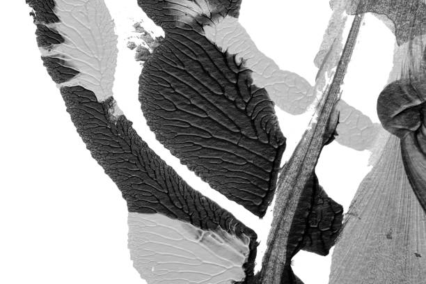 istock black white abstract acrylic painting color texture on white paper background by using rorschach inkblot method 1424272578