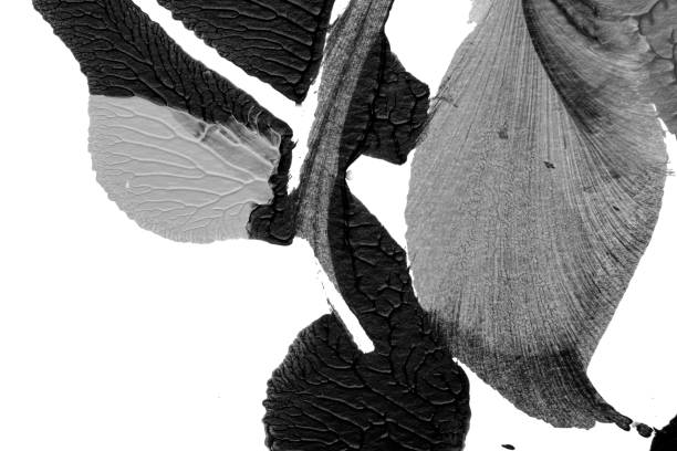 istock black white abstract acrylic painting color texture on white paper background by using rorschach inkblot method 1424272590