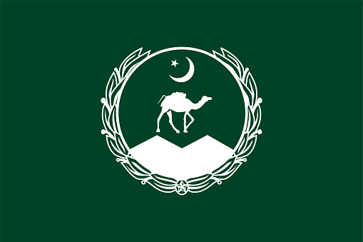 Flag Balochistan (Islamic Republic of Pakistan) vector,