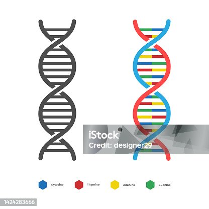 istock DNA Icon. Deoxyribo Nucleic Acid Vector Design. 1424283666