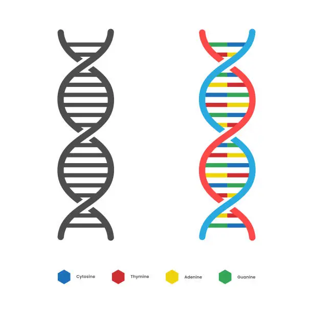 Vector illustration of DNA Icon. Deoxyribo Nucleic Acid Vector Design.