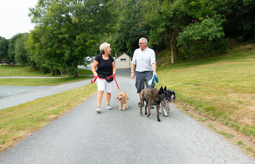 Middle aged couple walk their dogs around caravan site on summers day, chatting and laughing together as their dogs enjoy the exercise.