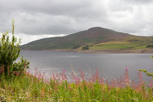 Landscape view of reservoir affected by drought in rural Wales, low water and dry hills due to lack of rain.