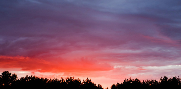 Beautiful crimson sunset. Cloudy background in red colors.