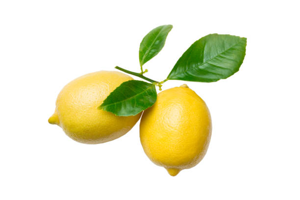 istock fresh lemon citrus fruit isolated on white background top view 1424295122