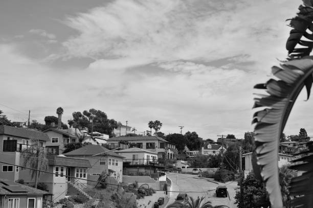 San Diego Neighborhood In Fall, Grayscale